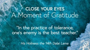 Close your eyes for a moment of gratitude. "In the practice of tolerance, one's enemy is the best teacher" HIs Holiness the 14th Dalai Lama